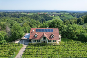 Haus zu kaufen: Wielitsch 91, 8461 Ehrenhausen an der Weinstraße - DJI_0114